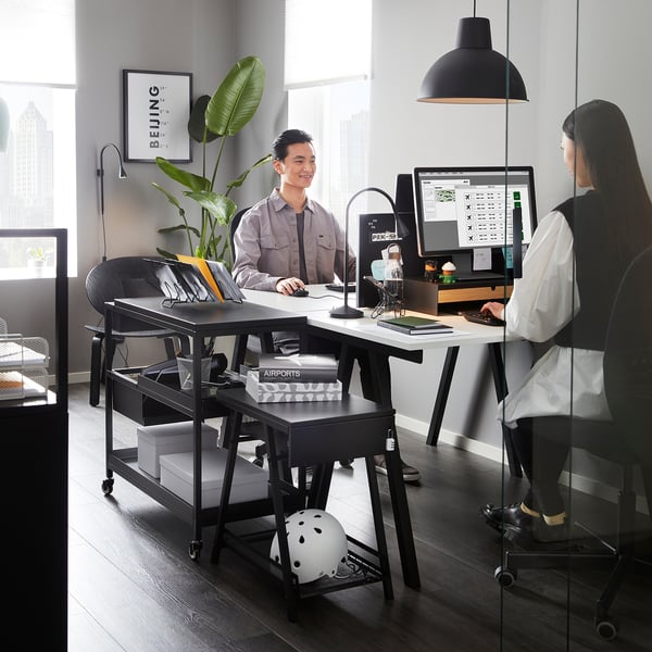 Bureau moderne : deux en travail, des plantes, de la lumière.