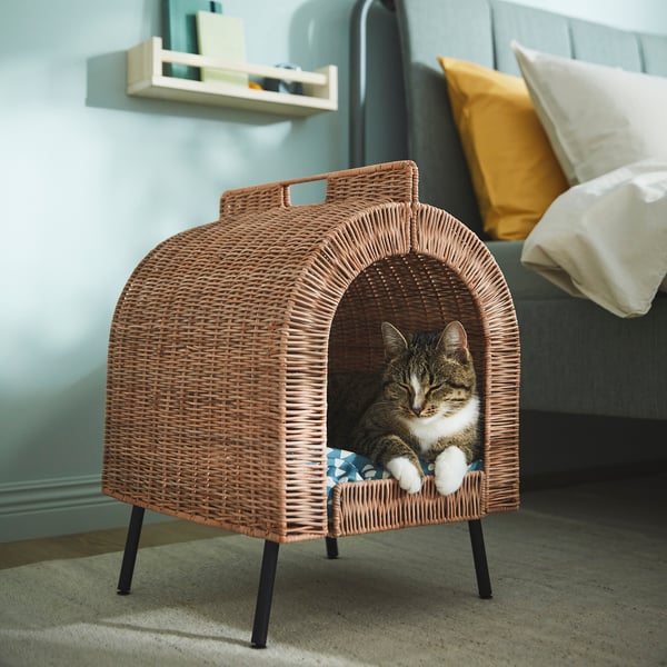 Chat à l’intérieur de la maison en osier, rembourré, surélevé sur les pieds pour la circulation de l’air, poignée pour un transport facile, placé près du lit.