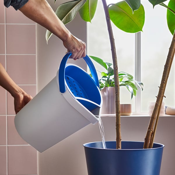 Persoon geeft water aan blauw-potplant met blauw/wit kan in de buurt van betegelde muur.