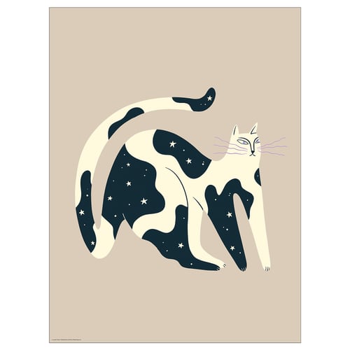 BILD-poster , beige met zwarte kat, sterren, minimalistische stijl op papier.