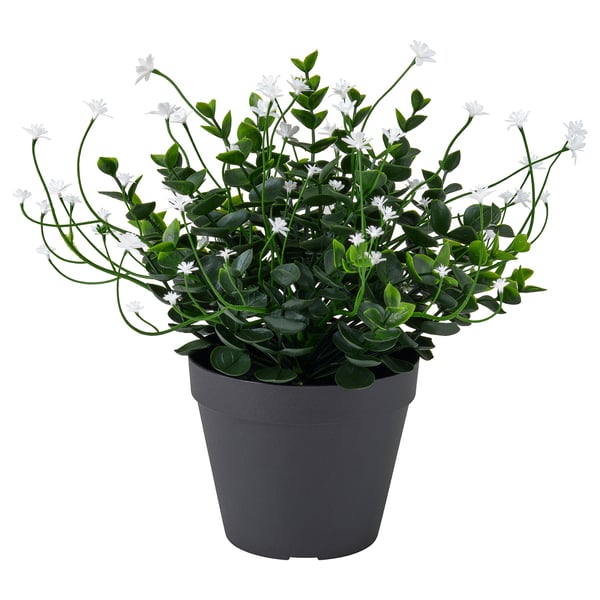 FEJKA Kunstplant, binnen/buiten/bloeiend wit, 12 cm