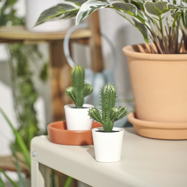 Kleine witte FEJKA kunstcactussen staan op planken tussen grotere planten. Helder, compact en realistisch.
