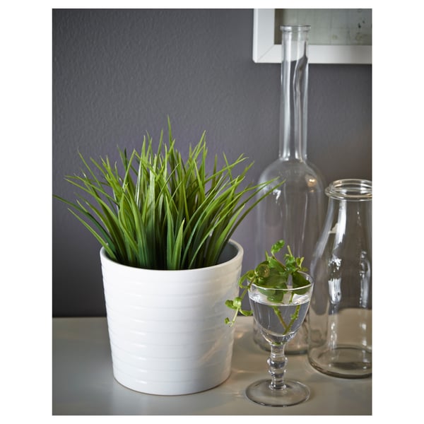 Kleine potplant in wit keramiek, glazen vaas met groen, heldere glazen fles op grijze plank. -binnen/buiten gebruik.