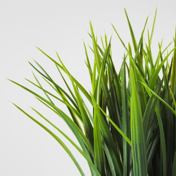 Bos van levendige groene kunstmatige grassprieten, levensecht en fris, dicht en vol, op een effen witte achtergrond.