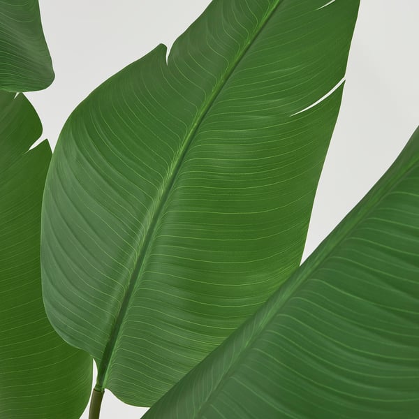 Groot, levendig, kunstmatig bananenblad. Gedetailleerde aders op diepgroen blad. Realistische textuur, levensechte uitstraling.