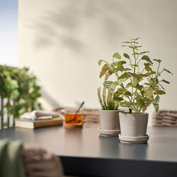 Kleine witte FEJKA potplant staat op een donkere tafel, in de buurt van andere planten en boeken.