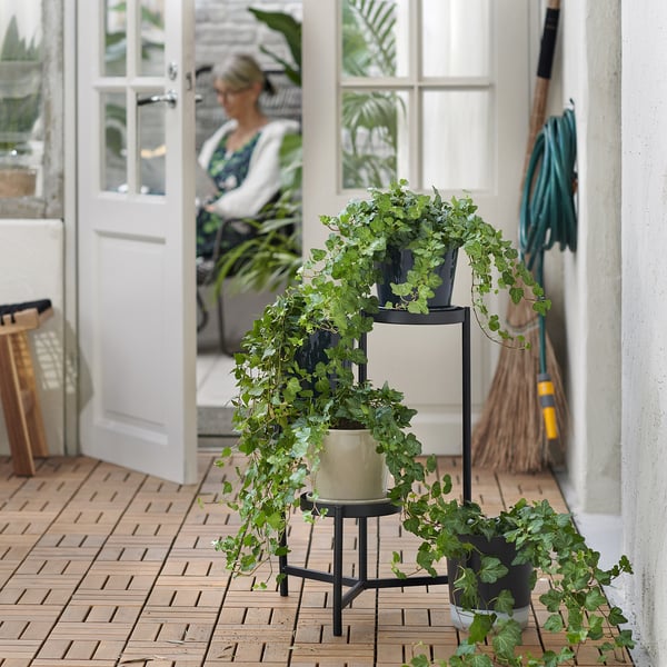Drie-tiered plantentribune houdt groene planten, dichtbij witte deur, openlucht het plaatsen.