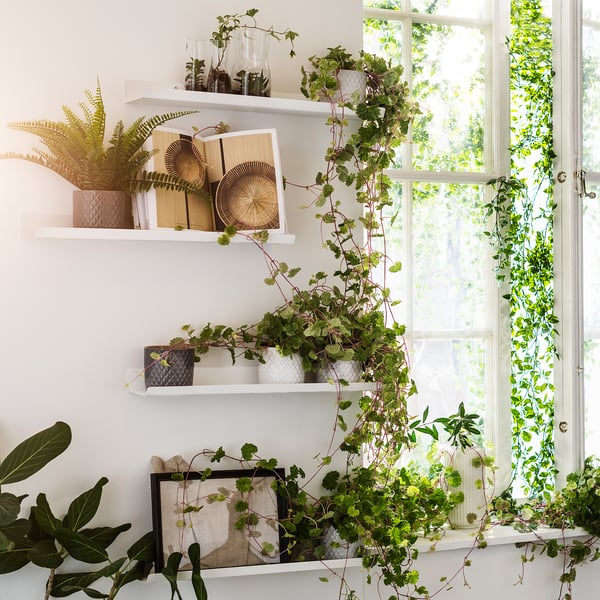 Witte wandplanken met planten en decor, zonlicht dat door raam stroomt.