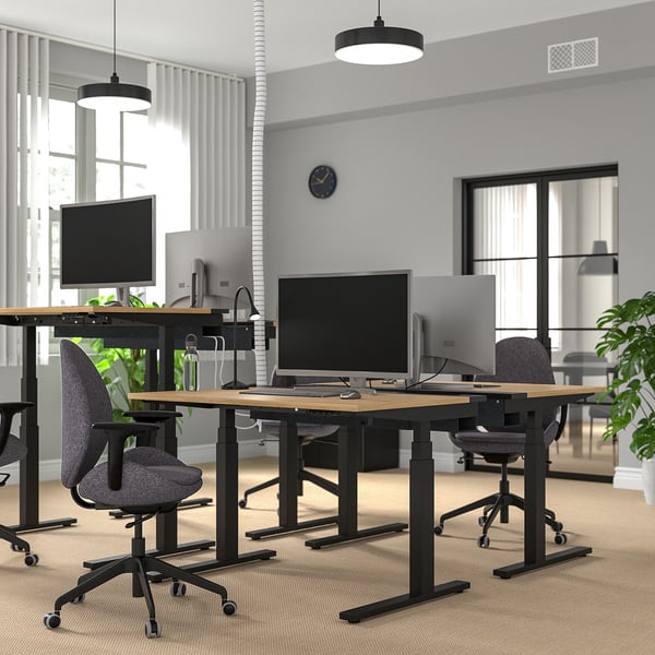 Moderne kantoorscène met MITTZON zit-sta bureaus. Lichthouten bladen, zwarte verstelbare onderstellen met wielen. Computers, stoelen en groen.