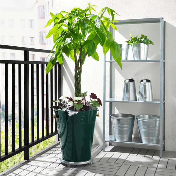 Balkon met grote groene plant en kleinere planten op metalen planken, zwarte reling.