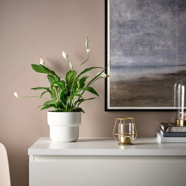 Witte PÄRLBAND theelichthouder op smalle tafel, naast plant, bij kunstwerken en boeken.