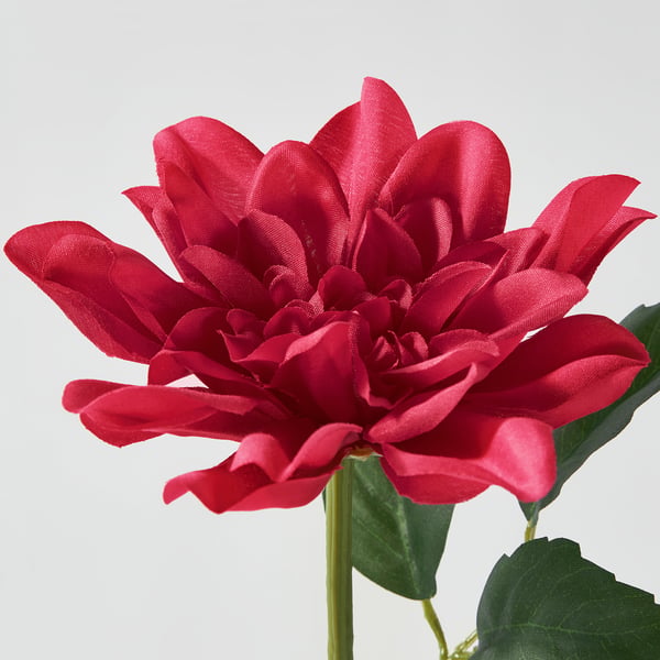 Heldere karmozijnrode kunstdahlia met weelderige groene stengel en bladeren, levendig gekleurde, gedetailleerde plooien.