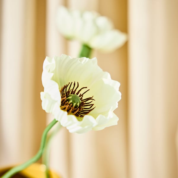 SMYCKA Kunstbloem, binnen/buiten Klaproos/wit, 51 cm