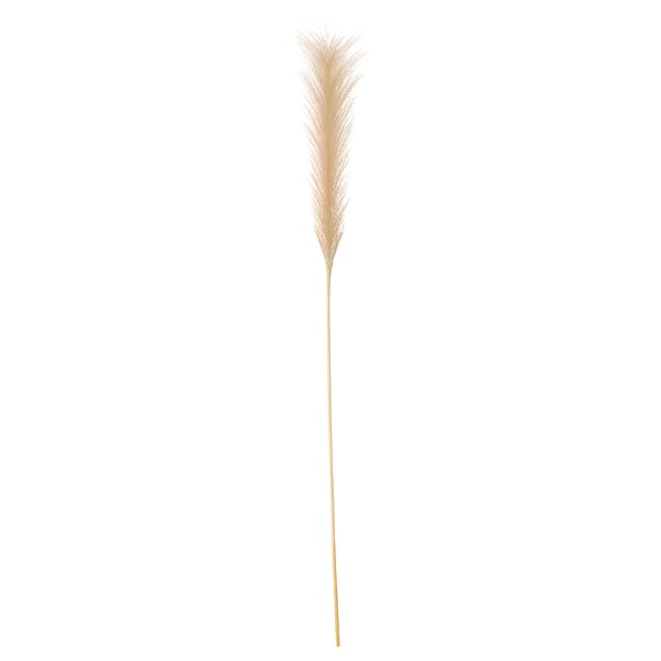 Beige pampagrasplant, SMYCKA-serie, gevederde pluimen, gerecyclede materialen