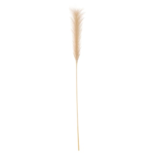 Beige pampagrasplant, SMYCKA-serie, gevederde pluimen, gerecyclede materialen