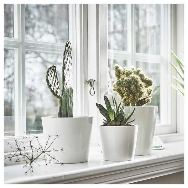 Drie witte SOJABÖNA bloempotten met cactussen op een vensterbank, met strakke lijnen en een minimalistisch design.
