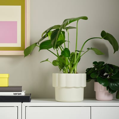 HÄNGSÄLG آنية نباتات, أبيض-عاجي, 15 سم