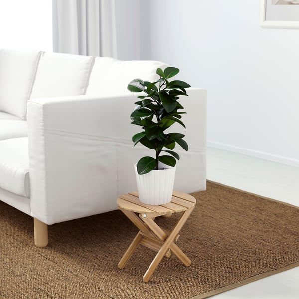 Small potted plant on a white and bamboo wooden stand beside a white couch on a brown rug.