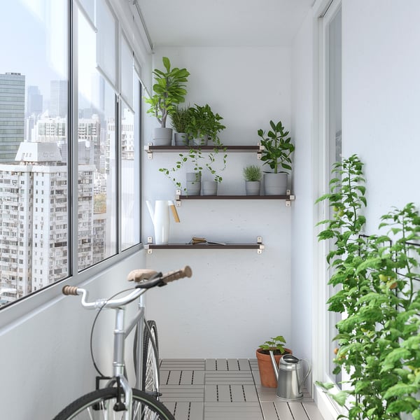 Bright room with city view, plants, bicycle.
