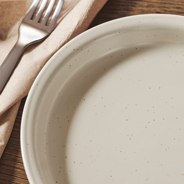 Clean, elegant plate with speckled design, accompanied by folded napkin and fork, showcasing high-quality dinnerware.