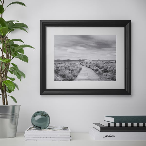 Black & white photo framed with mat, books & sphere on table, plant.