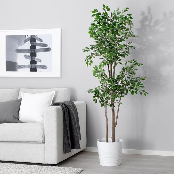 Modern living room with grey sofa, pillows, blanket, and potted plant.
