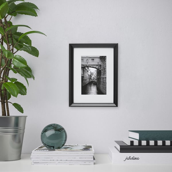Framed black and white photo on wall with houseplant, books, and decorative sphere.