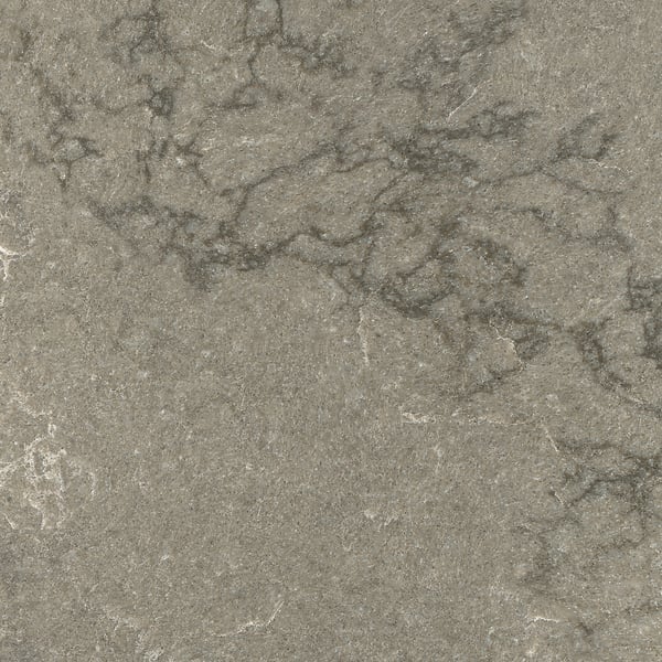 Smooth, speckled grey worktop, sleek, seamless, non-porous texture.