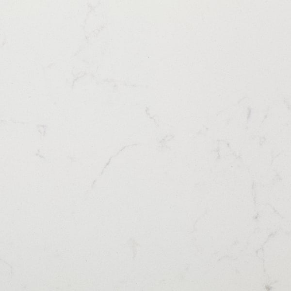 Smooth, pristine white worktop with delicate, natural veining. Seamless, non-porous surface.