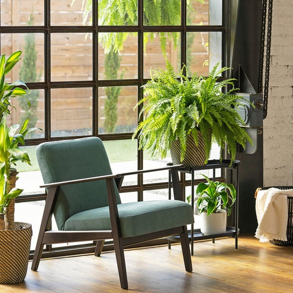 Modern chair with green cushions near large window; various large potted plants around, including a prominent fern; rustic brick wall background.