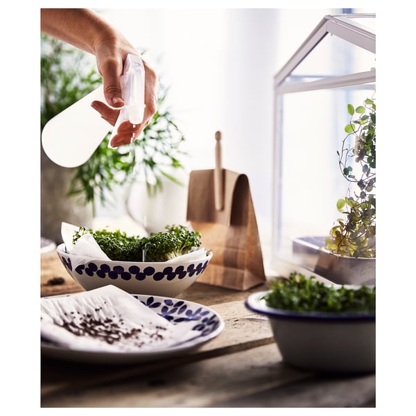 Hand spraying greens in white bowl near window with plants.
