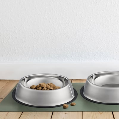 Two stainless steel dog bowls on a green mat, one filled with dog food.