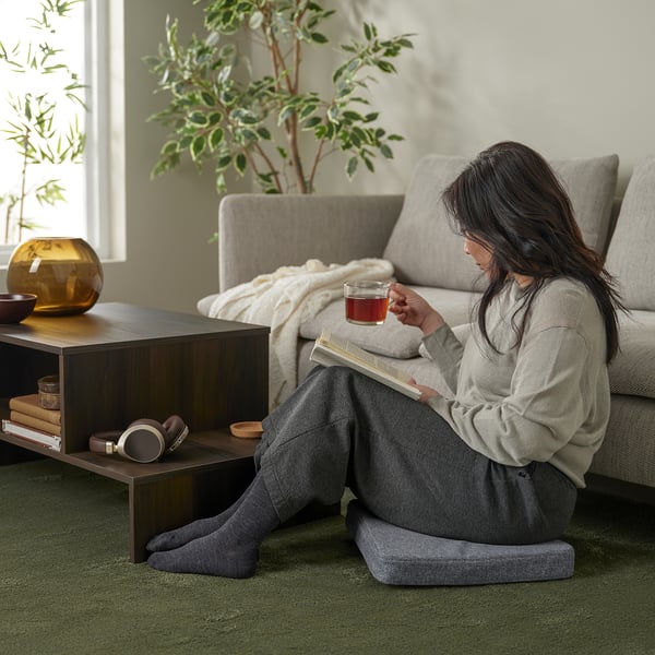 ÅKERVINDEFLY Coussin de chaise, gris, 15/14x15x2 "