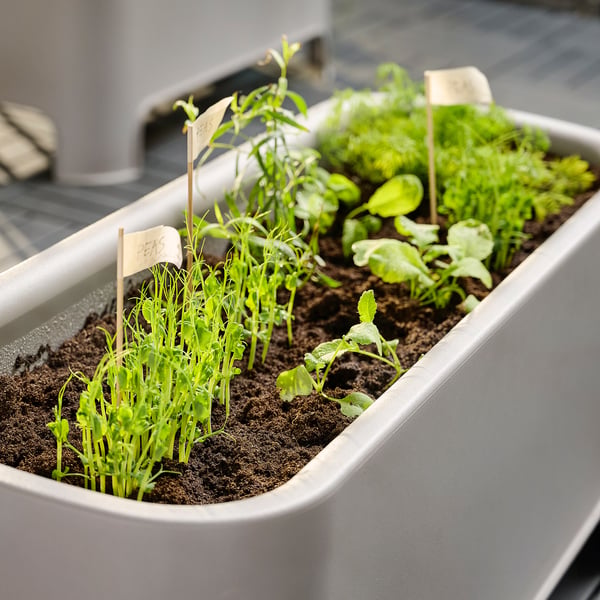 ASPAREN Jardinière, gris extérieur, 35x15 "