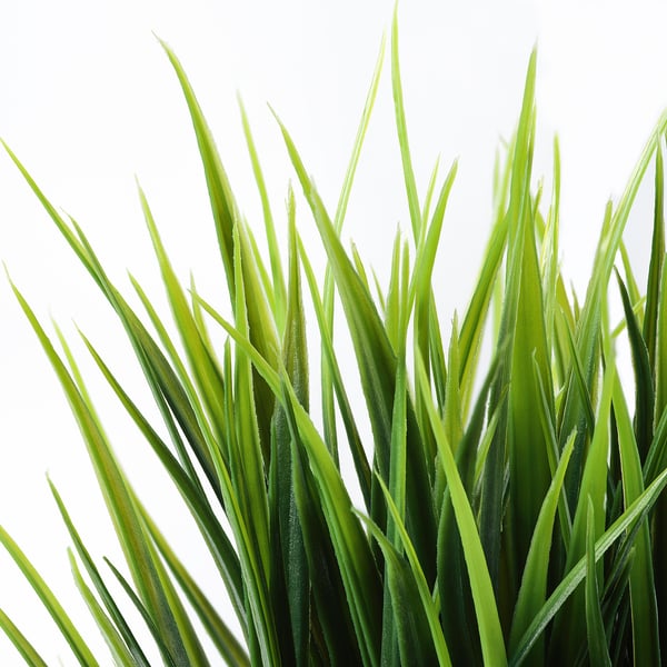 FEJKA Plante artificielle en pot, intérieur/extérieur herbe, 3 ½ "