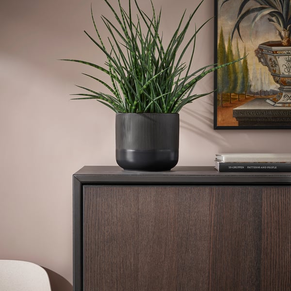 GRADVIS Cache-pot, intérieur/extérieur noir, 6 "