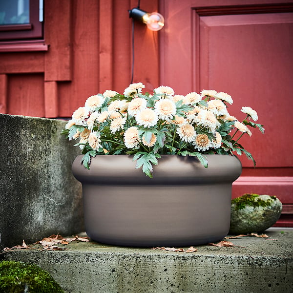 MÅBÄRSBUSKE Cache-pot, extérieur beige foncé, 17 ¼ "