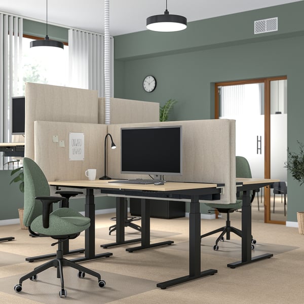 MITTZON Bureau assis-debout, électrique bouleau plaqué/noir, 55 1/8x31 1/2 "