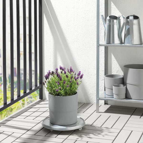 NYPON Cache-pot, intérieur/extérieur gris, 7 ½ "