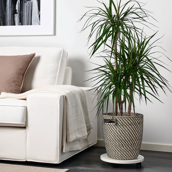 RÅGKORN Cache-pot, intérieur/extérieur gris foncé/beige, 9 ½ "
