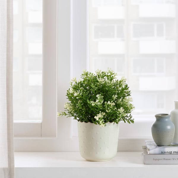 SESAMFRÖN Cache-pot, intérieur/extérieur blanc cassé, 3 ½ "