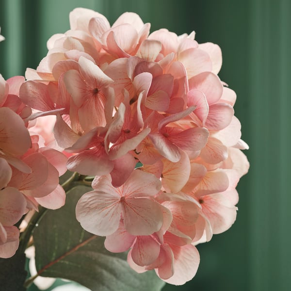 SMYCKA Fleur artificielle, intérieur/extérieur hydrangea/rose clair, 23 ½ "