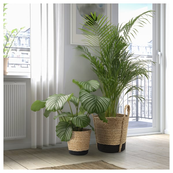 TÄRNMÅS Cache-pot, intérieur/beige/noir, 6 "