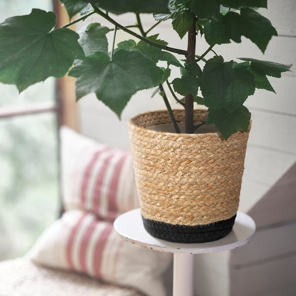 TÄRNMÅS Cache-pot, intérieur/beige/noir, 6 "