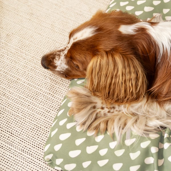 UTSÅDD Coussin pour animaux, gris-vert/blanc cassé, 25 ¼x40 ¼ "