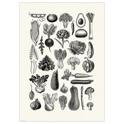 BILD Bild, verschiedene Gemüse, 50x70 cm