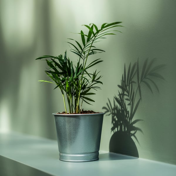 BINTJE Übertopf, verzinkt, 9 cm