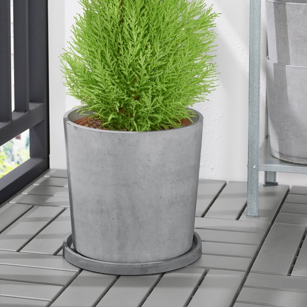 BOYSENBÄR Untersetzer für Blumentopf, drinnen/draußen hellgrau, 27 cm