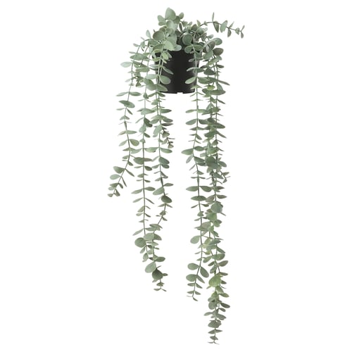 FEJKA Topfpflanze, künstlich, drinnen/draußen hängend/Eukalyptus, 9 cm