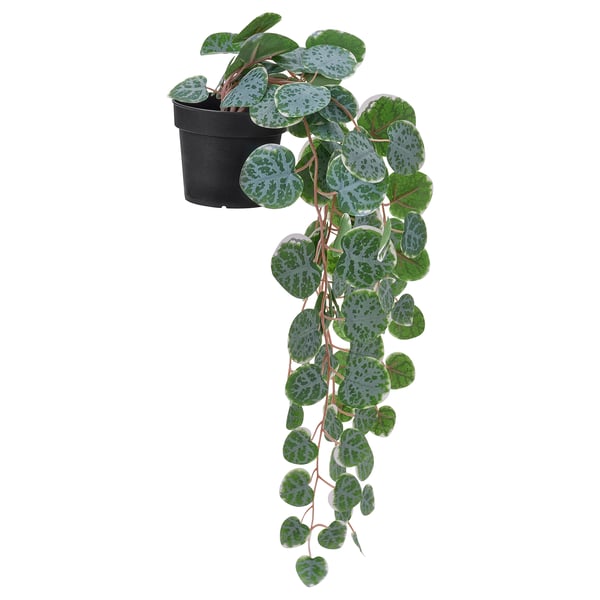 FEJKA Topfpflanze, künstlich, drinnen/draußen hängend/Leuchterblume, 9 cm